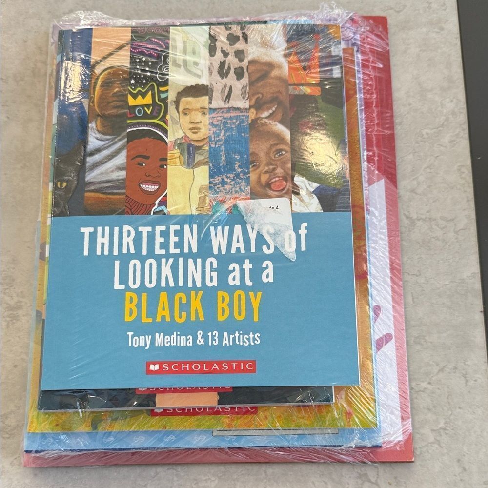 Scholastic Multicolor 'Thirteen Ways of Looking at a Black Boy'